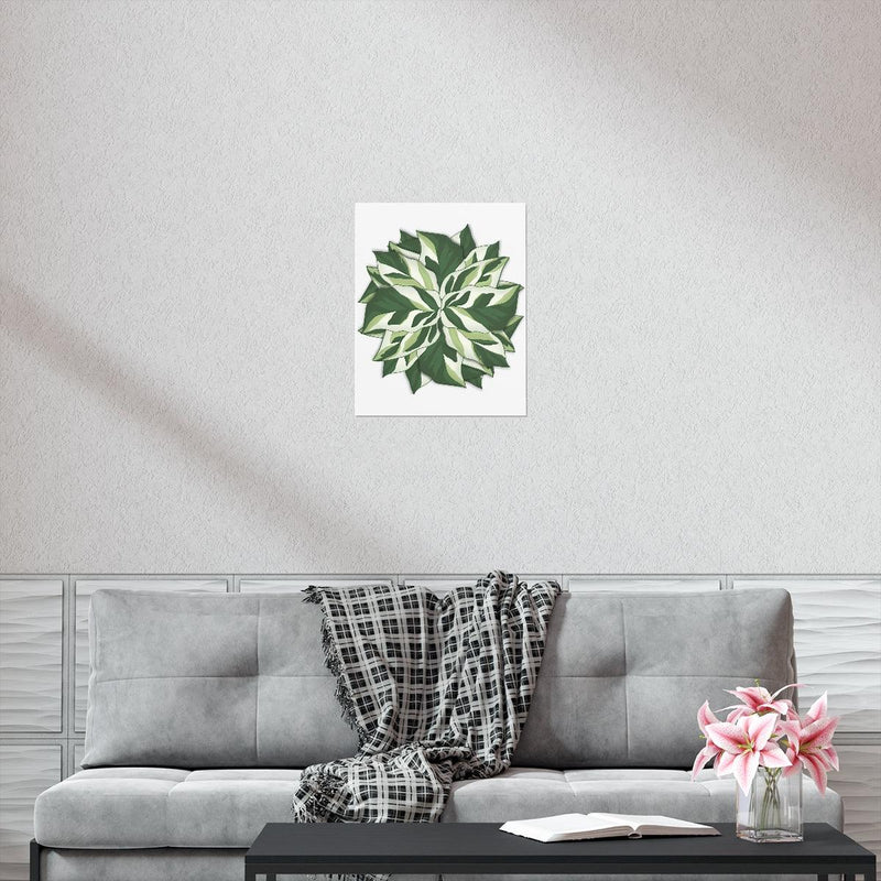 Calathea White Fusion Print, Poster, Laura Christine Photography & Design, Back to School, Bottle, Calathea, Canvas Bag, Coffee, Drinkware, Home & Living, Indoor, Matte, Paper, Posters, Prayer Plant, Reusable, Shopping Bag, Tea, Tote Bag, Travel, Tumbler, Valentine&