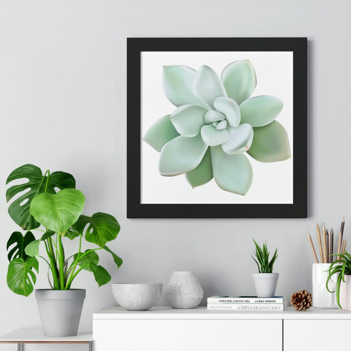 Pachyveria Haagei Succulent Framed Print, Poster, Printify, Framed, Home & Living, Indoor, Paper, Posters, Laura Christine Photography & Design, laurachristinedesign.com