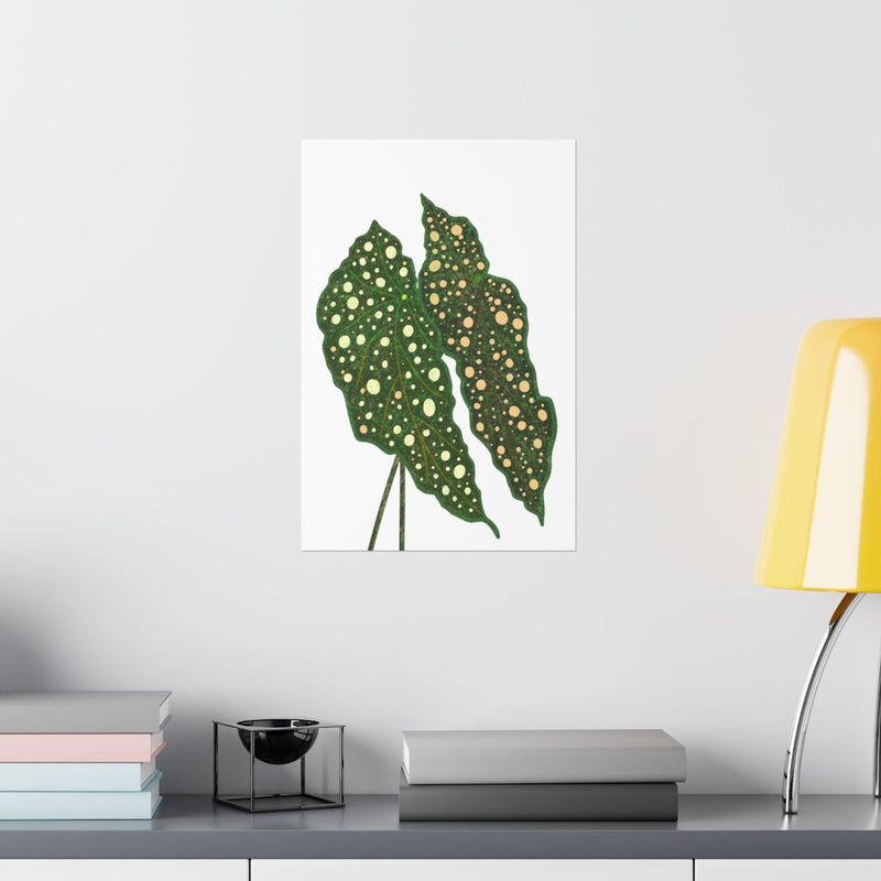 Begonia Maculata Print, Poster, Laura Christine Photography & Design, Back to School, Home & Living, Indoor, Matte, Paper, Posters, Valentine&