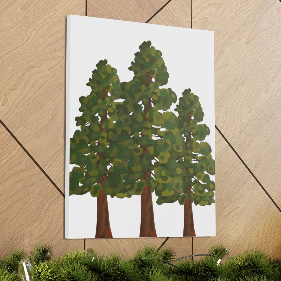 Coastal Redwoods Canvas - Stretched Cotton Canvas Art Print | Matte Finish Wall Hanging Artwork