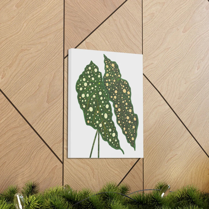 Begonia Maculata Canvas | Premium Canvas Art Print - Matte Finish, Durable Wall Decor - Laura Christine Photography & Design