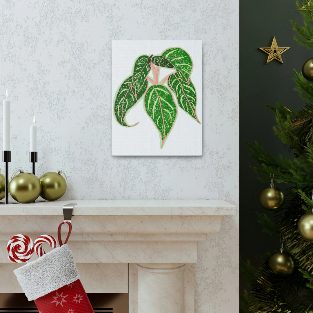 Aglaonema Plant Canvas | Sparkling Plant Artwork - Colorfast Canvas Art Print Decor