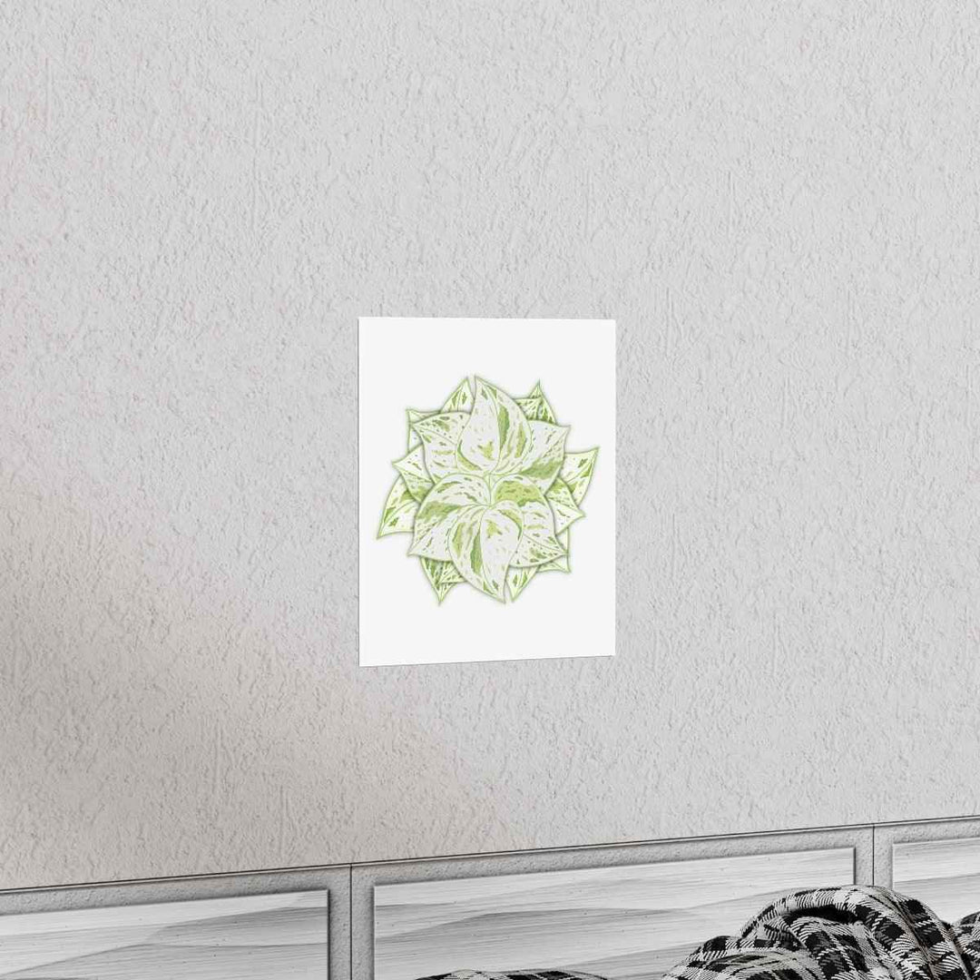 Snow Queen Pothos Print – Variegated Pothos Art on Museum Grade Paper Unframed