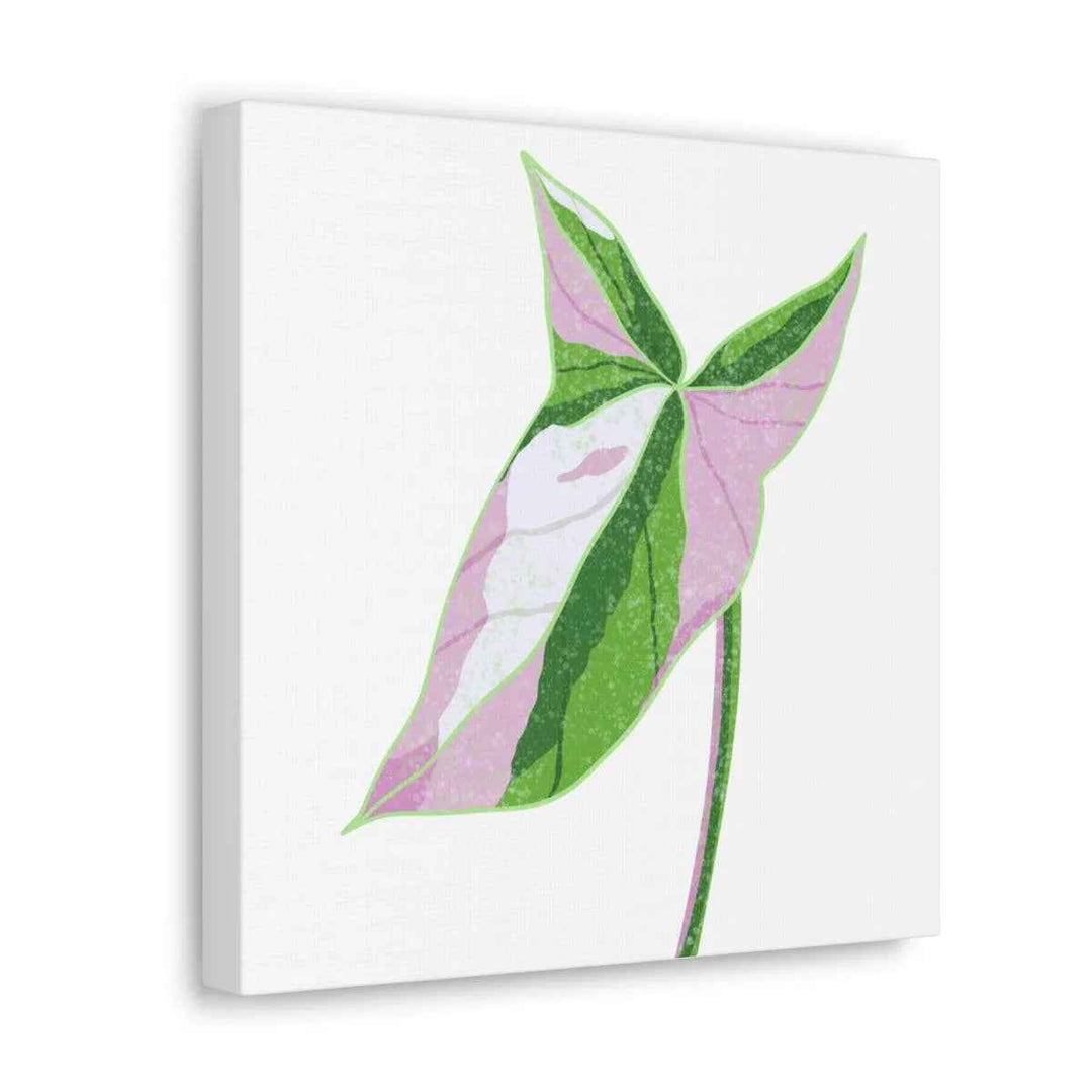 Syngonium Tricolor Canvas | Botanical Canvas Art Print With Matte Finish