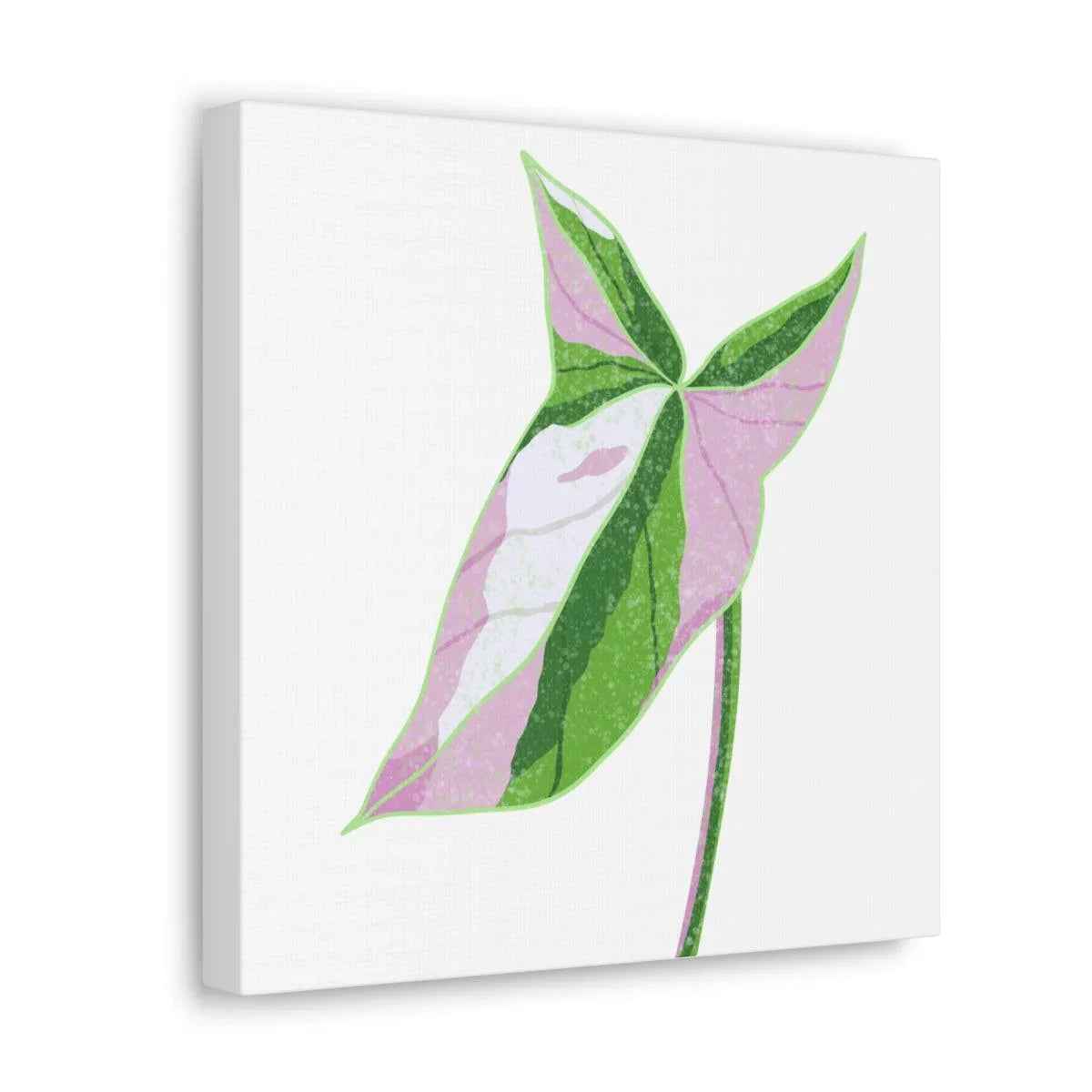 Syngonium Tricolor Canvas | Botanical Canvas Art Print With Matte Finish