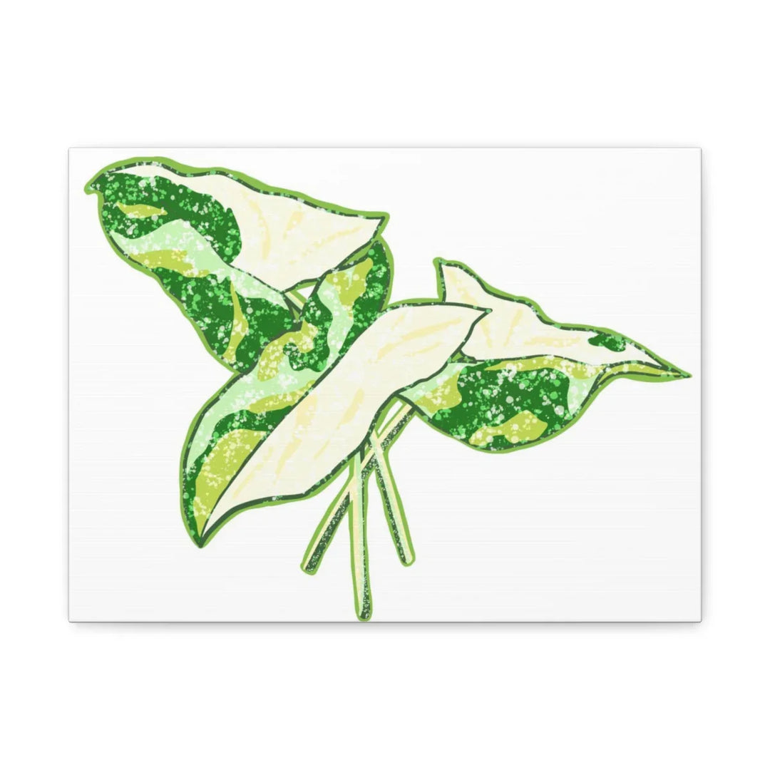 Marble Syngonium Canvas - Botanical Canvas Art Print | Durable Cotton Matte Finish - Laura Christine Photography & Design