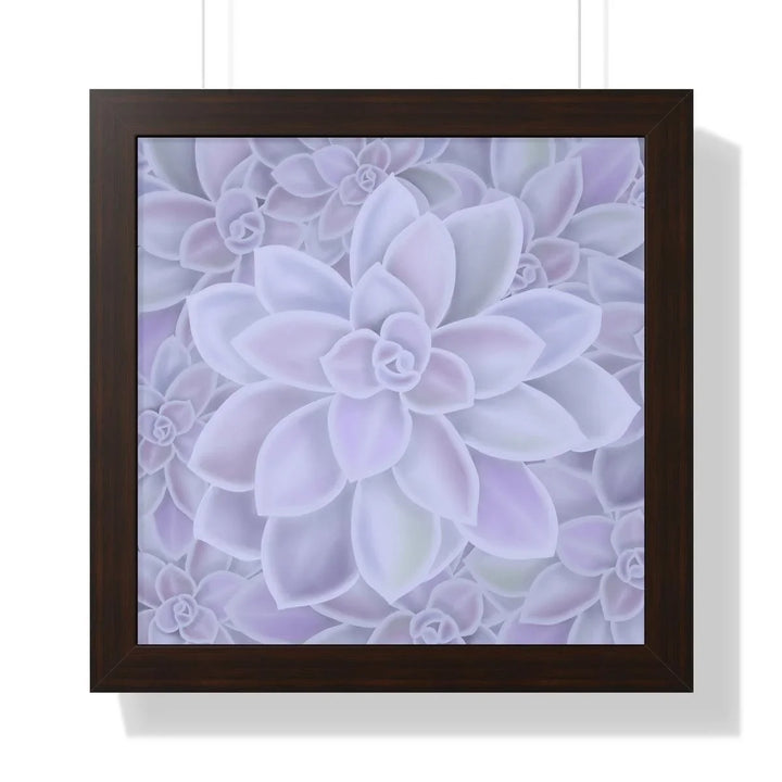 Graptopetalum 'Murasaki' Succulent Framed Print, Poster, Laura Christine Photography & Design, Framed, Home & Living, Indoor, Paper, Posters, Laura Christine Photography & Design, laurachristinedesign.com