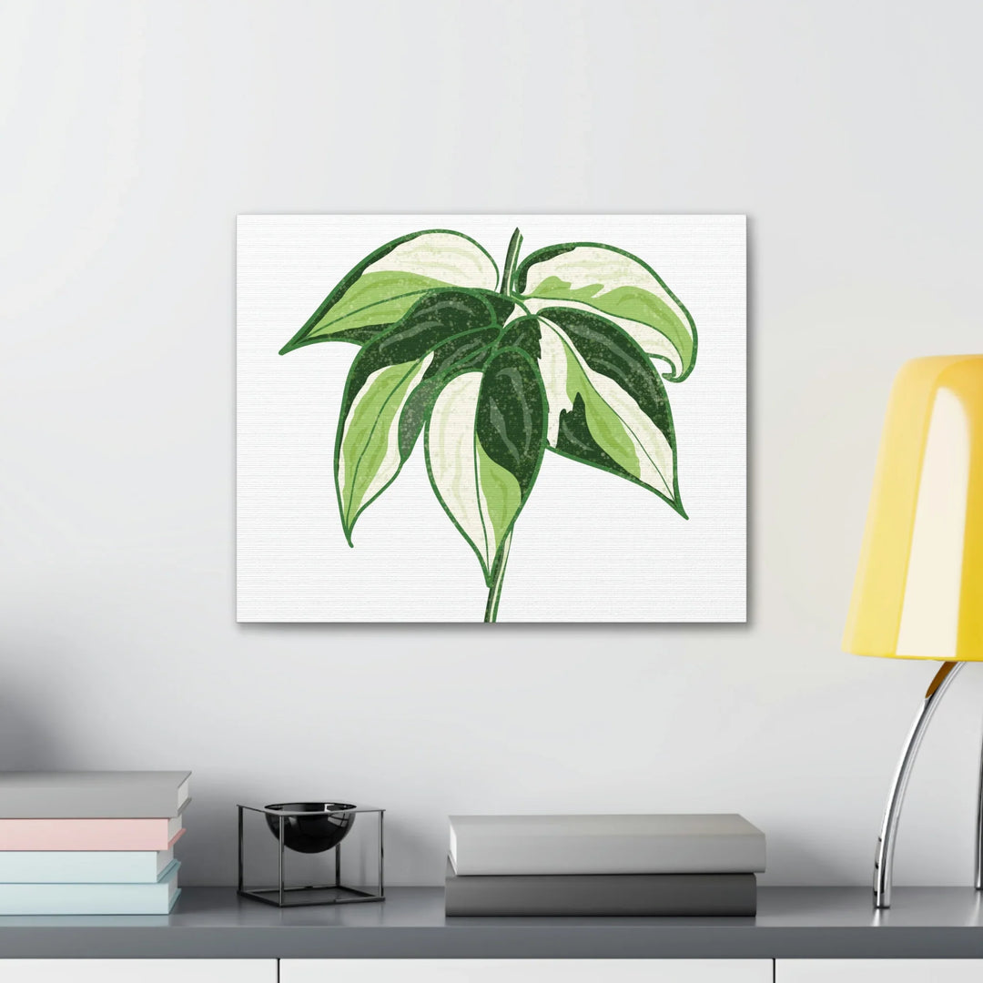 Philodendron Canvas Print - Cream Splash Variegated Plant Art on Matte Cotton Canvas