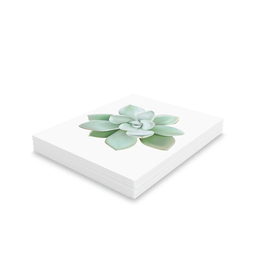 Pachyveria Haagei Succulent Greeting Card, Paper products, Printify, Greeting Card, Holiday Picks, Home & Living, Paper, Postcard, Postcards, Laura Christine Photography & Design, laurachristinedesign.com