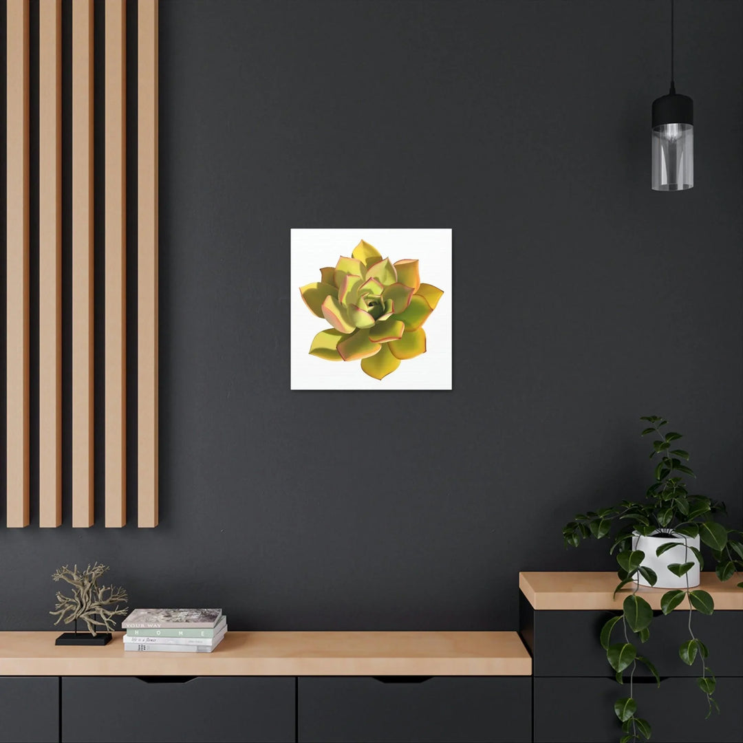 Noble Aeonium Succulent Canvas, Canvas, Printify, Art & Wall Decor, Canvas, Hanging Hardware, Home & Living, Indoor, Laura Christine Photography & Design, laurachristinedesign.com