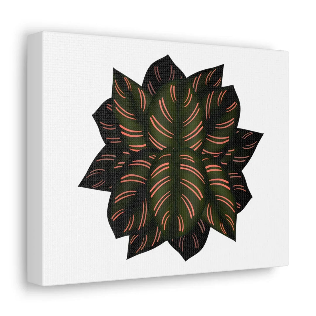 Calathea Pinstripe Canvas – Botanical Canvas Art Print | Matte Finish Wall Decor