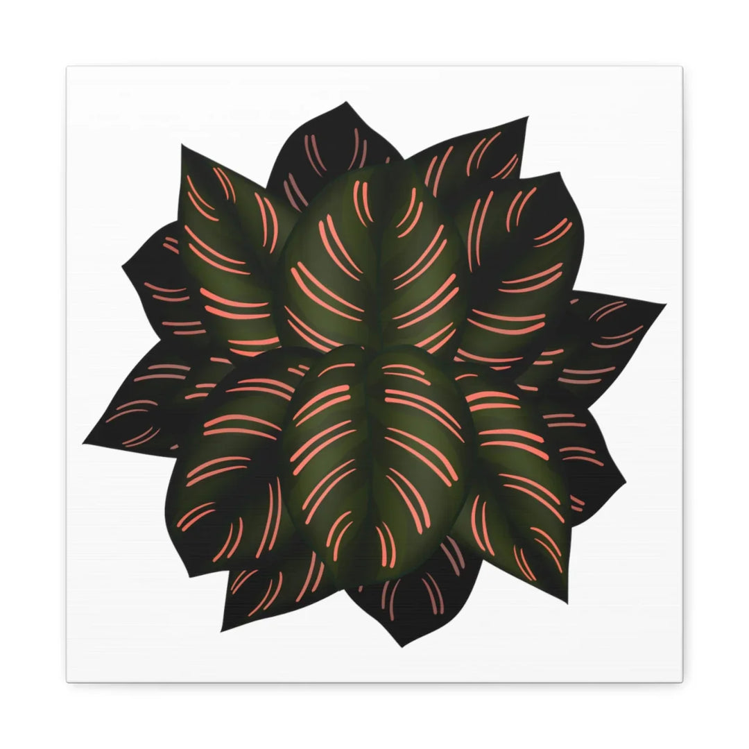 Calathea Pinstripe Canvas – Botanical Canvas Art Print | Matte Finish Wall Decor
