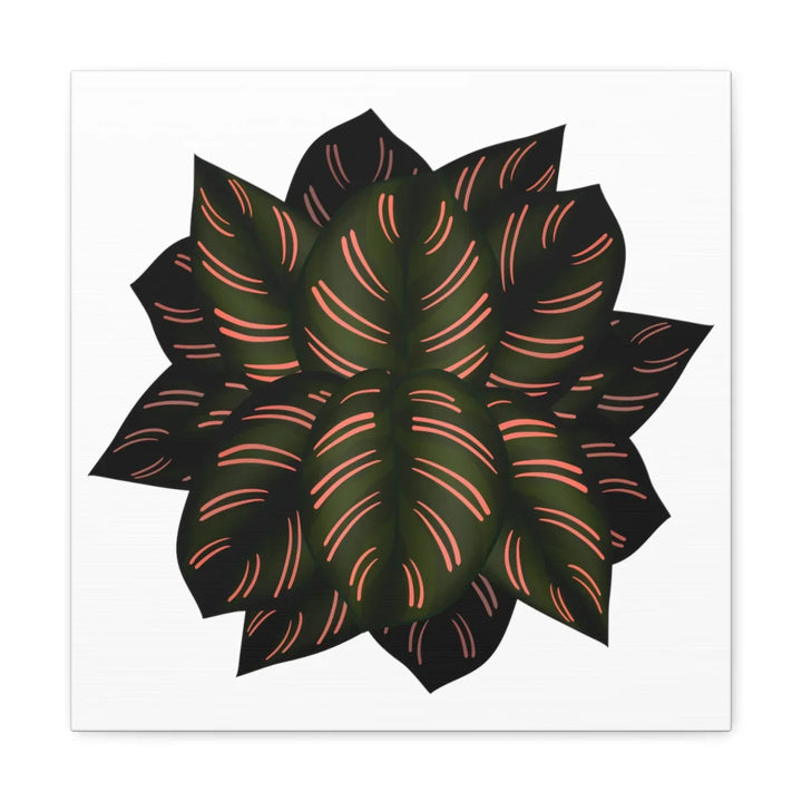 Calathea Pinstripe Canvas – Botanical Canvas Art Print | Matte Finish Wall Decor