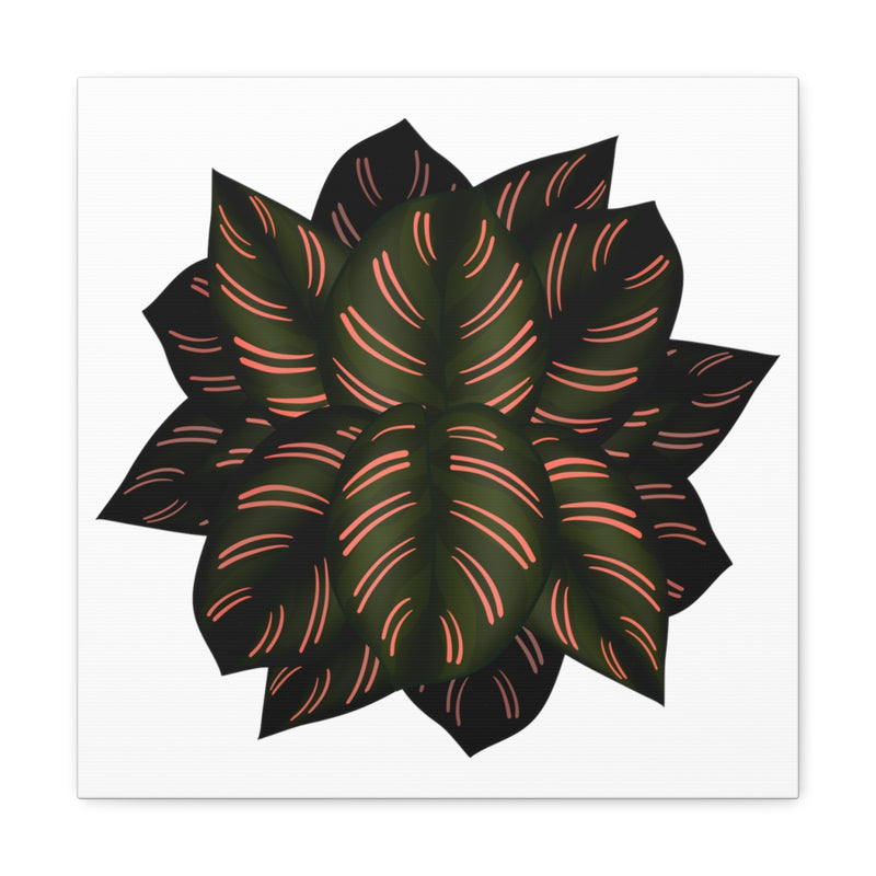 Calathea Pinstripe Canvas