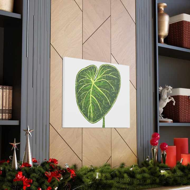 Philodendron Gloriosum Canvas - Stretched Canvas Art Print | Matte Indoor Wall Art - Laura Christine Photography & Design