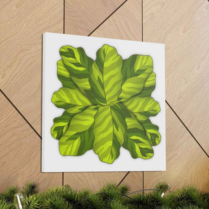 Calathea Yellow Fusion Canvas – Botanical Canvas Print With Unique Leaf Pattern Art