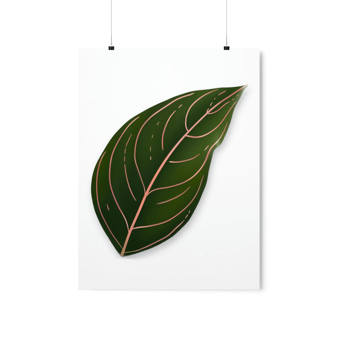 Aglaonema Rotundum Print – Botanical Wall Art on Museum Grade Paper | Unframed
