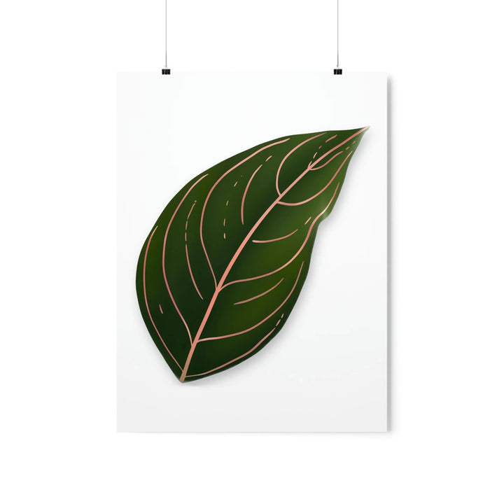 Aglaonema Rotundum Print – Botanical Wall Art on Museum Grade Paper | Unframed