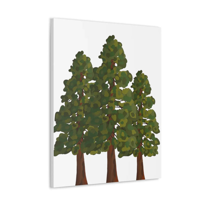 Coastal Redwoods Canvas - Stretched Cotton Canvas Art Print | Matte Finish Wall Hanging Artwork