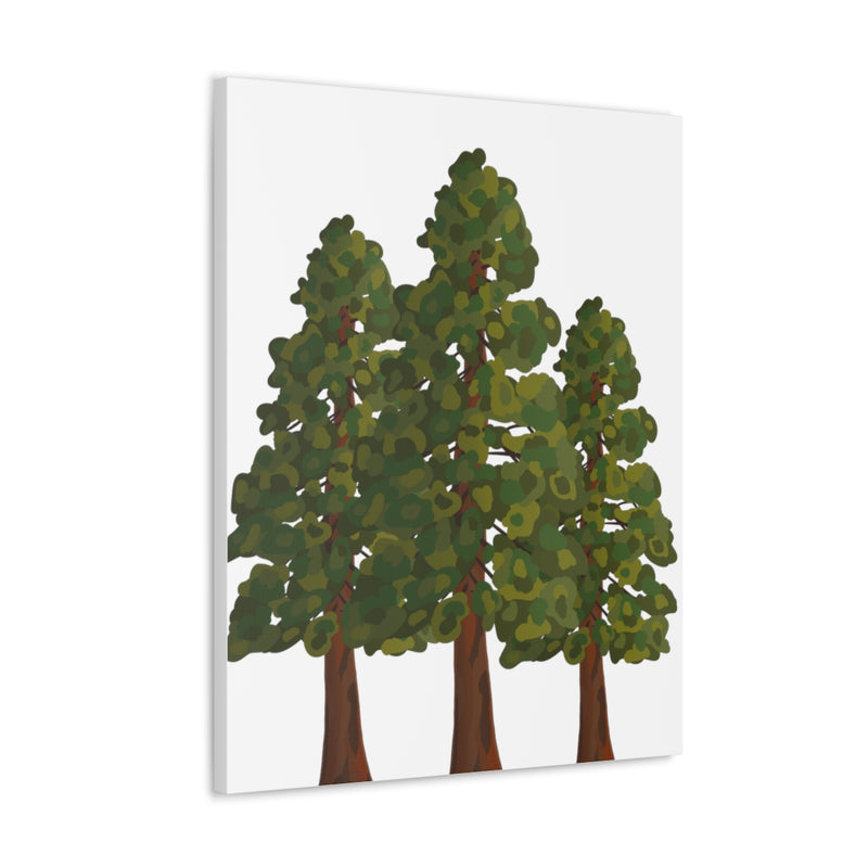 Coastal Redwoods Canvas