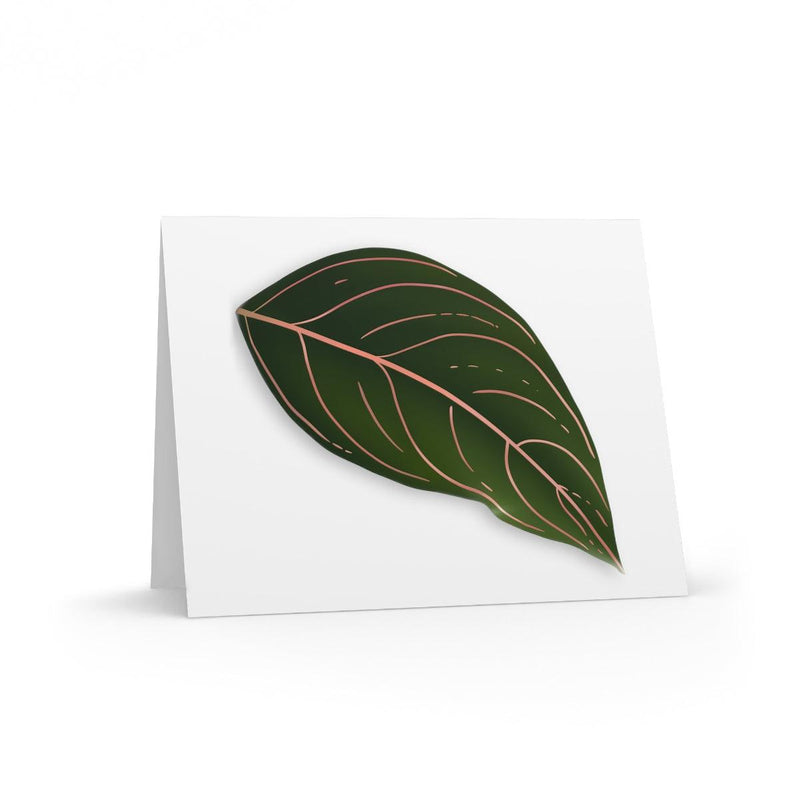 Aglaonema Rotundum Greeting Card, Paper products, Laura Christine Photography & Design, Greeting Card, Holiday Picks, Home & Living, Paper, Postcard, Postcards, Laura Christine Photography & Design, laurachristinedesign.com