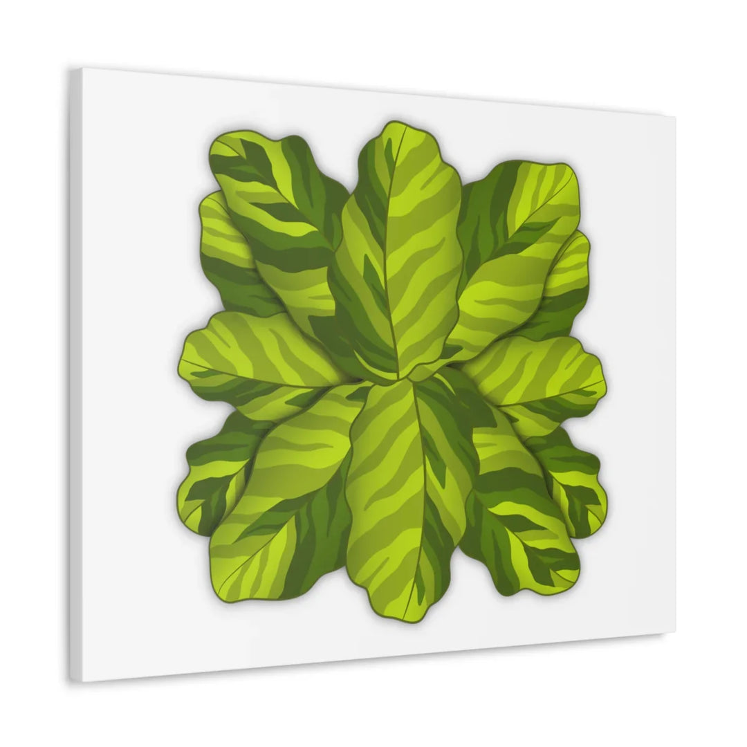 Calathea Yellow Fusion Canvas – Botanical Canvas Print With Unique Leaf Pattern Art - Laura Christine Photography & Design