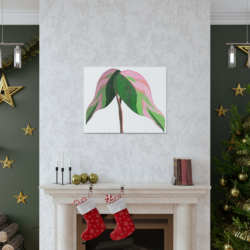 Pink Princess Philodendron Canvas