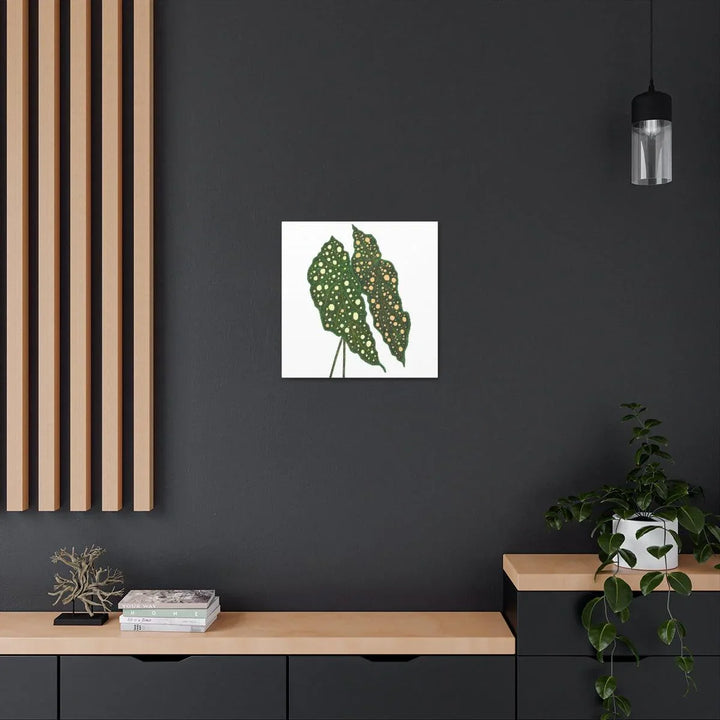 Begonia Maculata Canvas | Premium Canvas Art Print - Matte Finish, Durable Wall Decor - Laura Christine Photography & Design