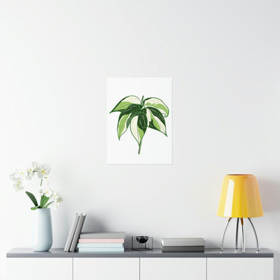 Philodendron 'Cream Splash' Print, Poster, Printify, Back to School, Home & Living, Indoor, Matte, Paper, Posters, Valentine's Day promotion, Laura Christine Photography & Design, laurachristinedesign.com