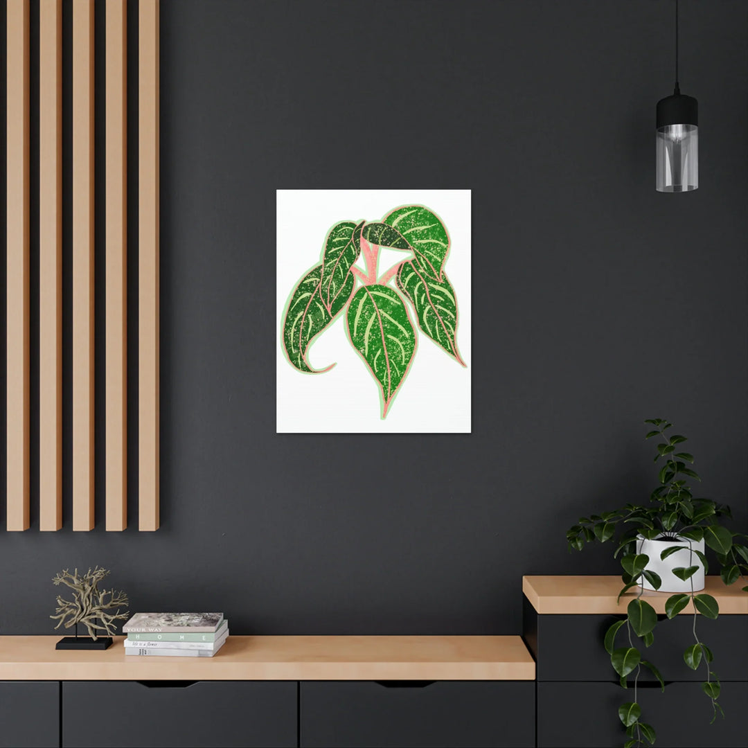 Aglaonema Plant Canvas | Sparkling Plant Artwork - Colorfast Canvas Art Print Decor