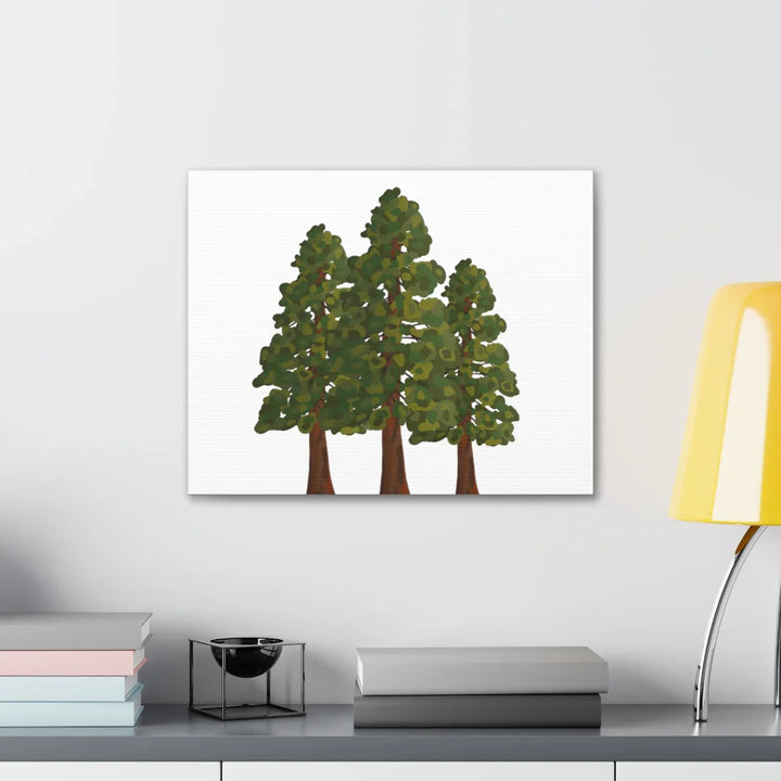 Coastal Redwoods Canvas - Stretched Cotton Canvas Art Print | Matte Finish Wall Hanging Artwork