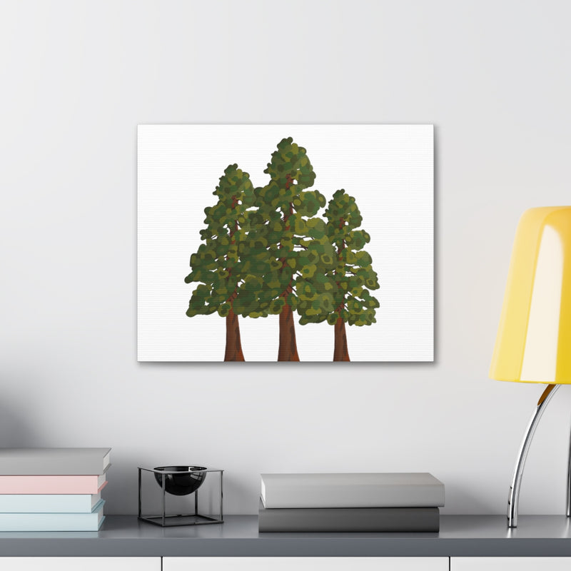 Coastal Redwoods Canvas