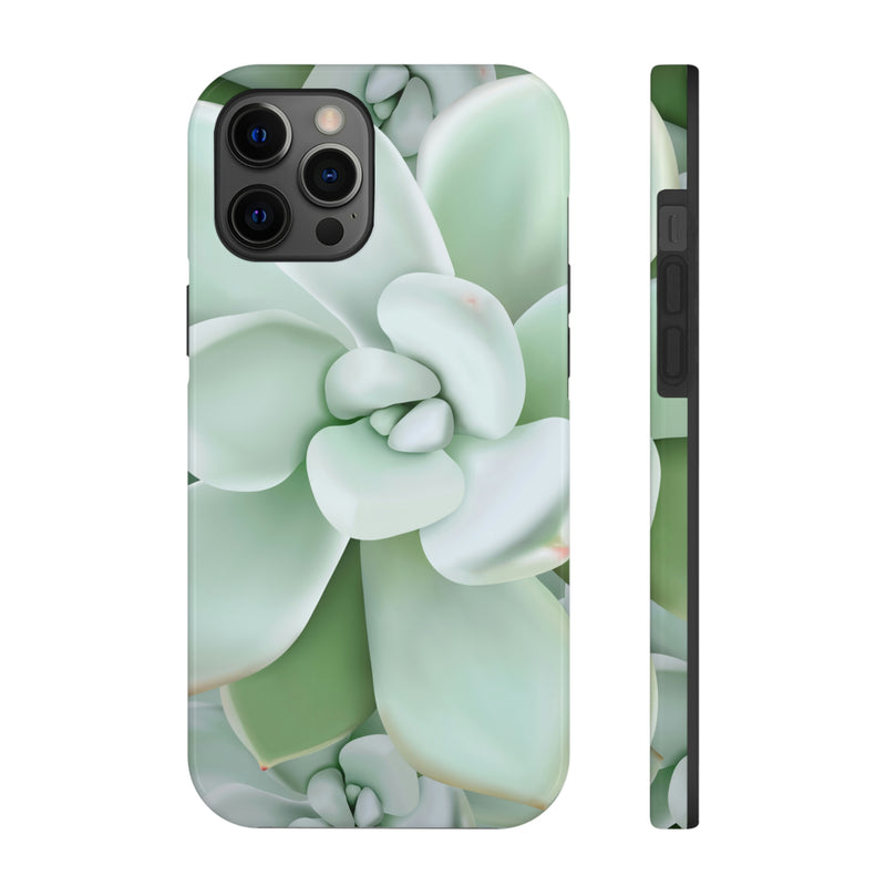 Pachyveria Haagei Succulent Phone Case, Phone Case, Printify, Accessories, Glossy, iPhone Cases, Matte, Phone accessory, Phone Cases, Samsung Cases, Laura Christine Photography & Design, laurachristinedesign.com