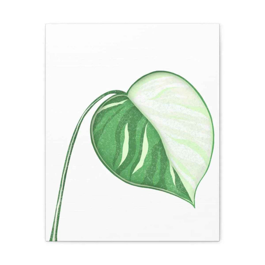 Monstera Albo Canvas | Large Tropical Leaf Artwork - Matte Finish Canvas Art Print