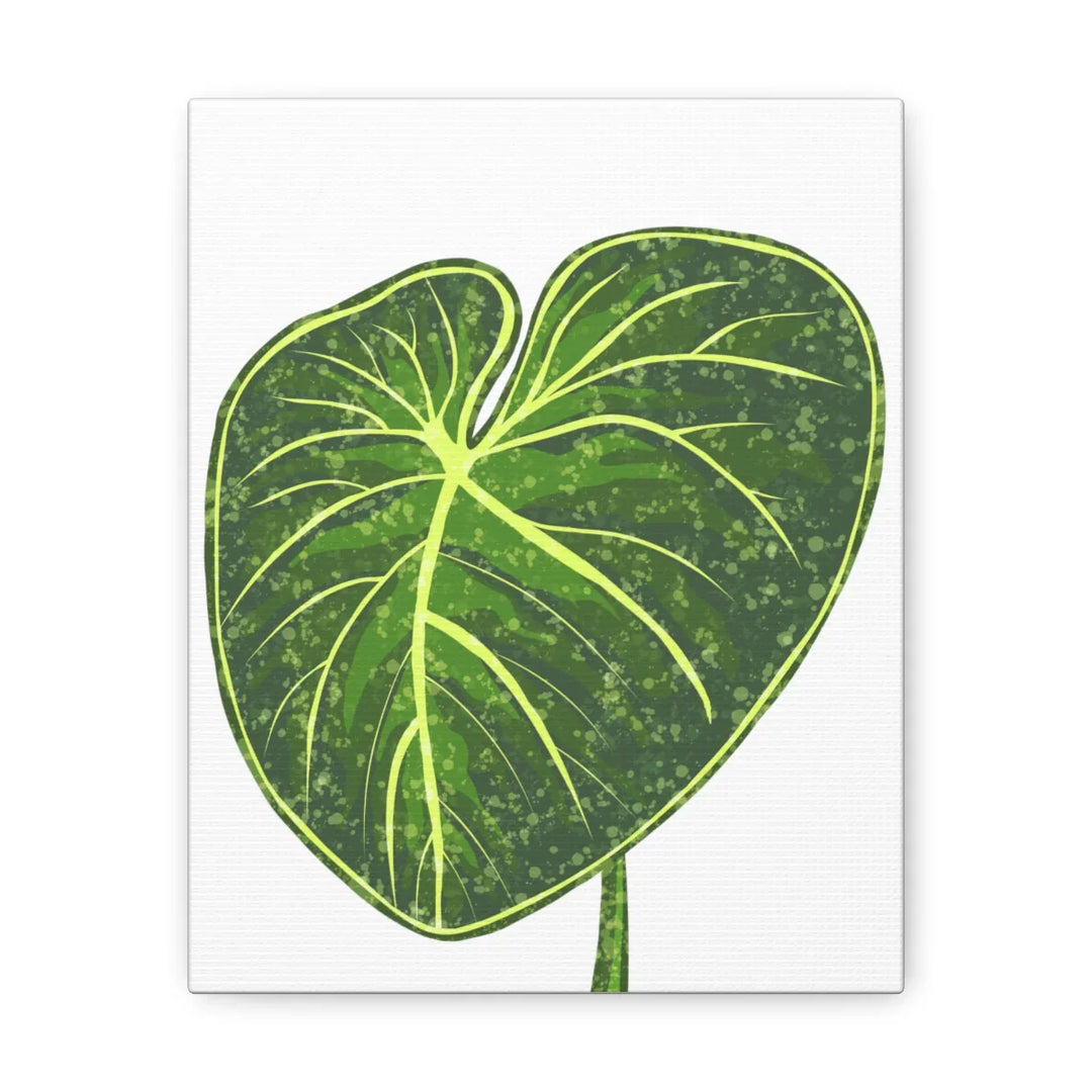 Philodendron Gloriosum Canvas - Stretched Canvas Art Print | Matte Indoor Wall Art - Laura Christine Photography & Design