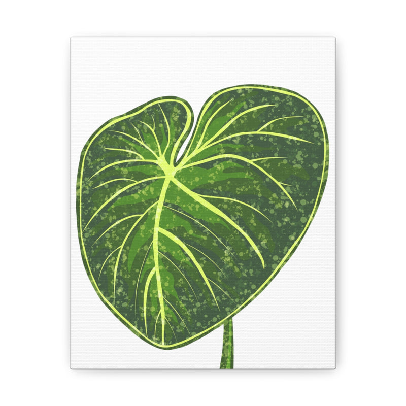 Philodendron Gloriosum Canvas