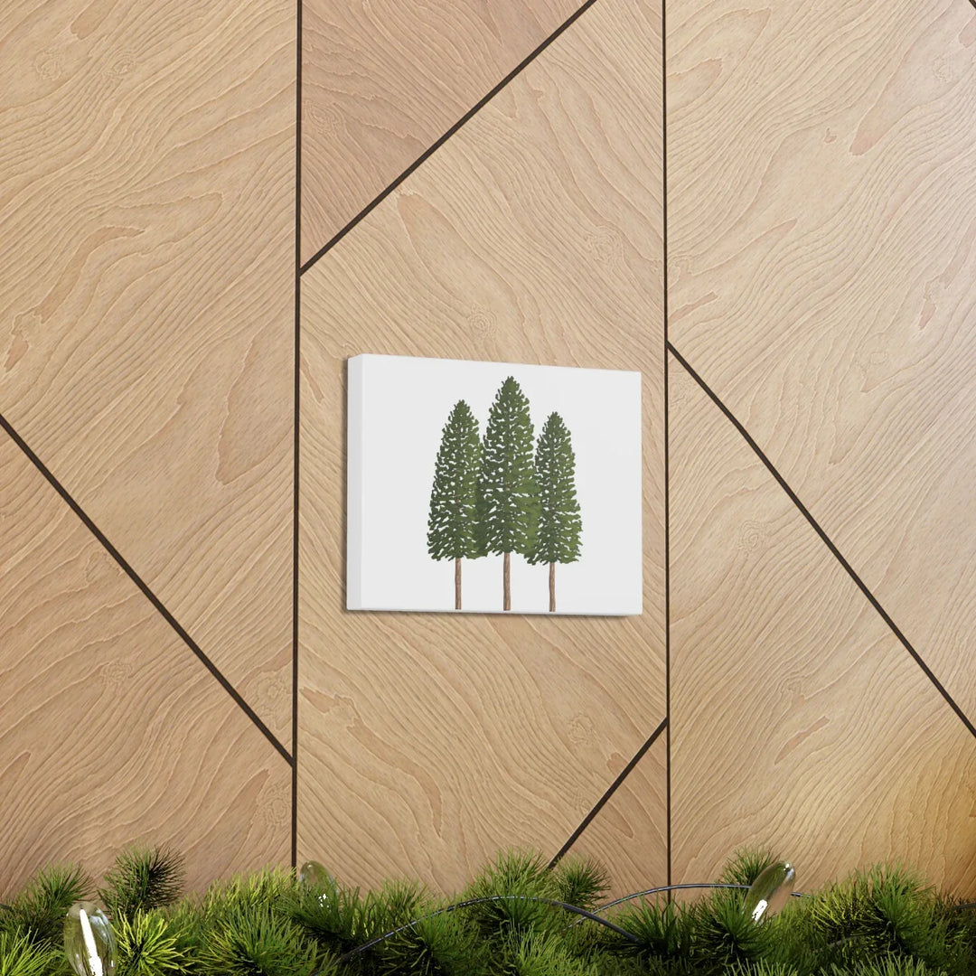 Ponderosa Pine Canvas - Large Stretched Cotton Canvas Art Print With Matte Finish