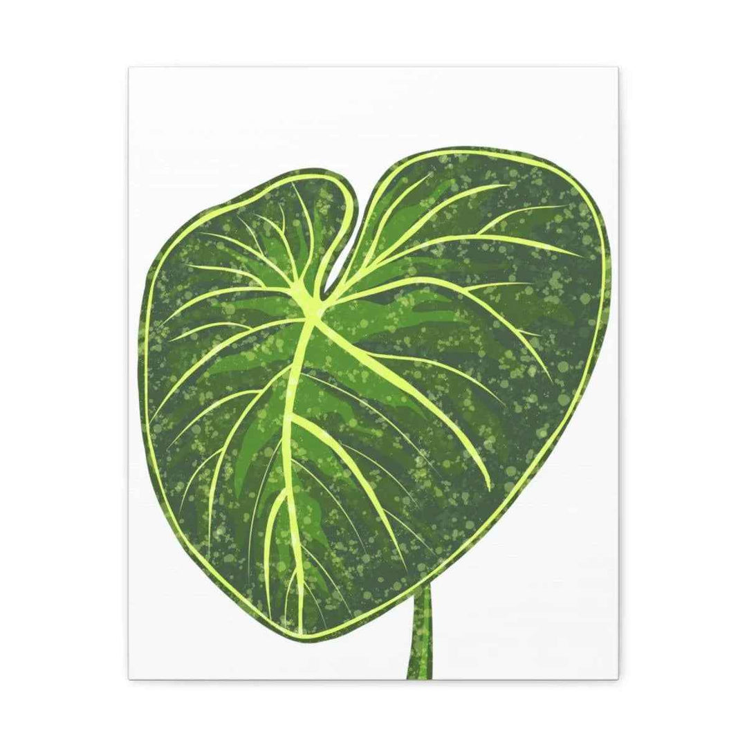 Philodendron Gloriosum Canvas - Stretched Canvas Art Print | Matte Indoor Wall Art