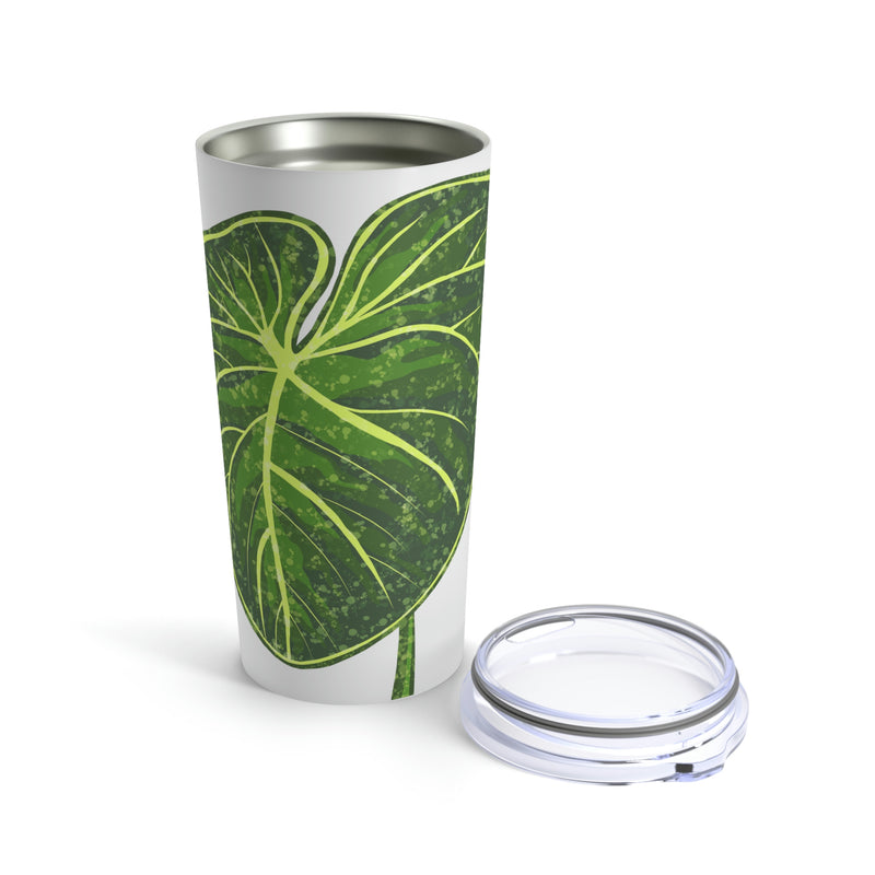 Philodendron Gloriosum Tumbler 20oz