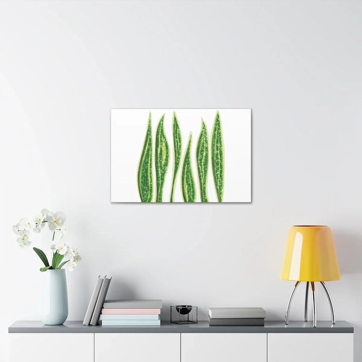 Snake Plant Canvas | Botanical Canvas Decor - Matte Finish Artwork for Living Room - Laura Christine Photography & Design