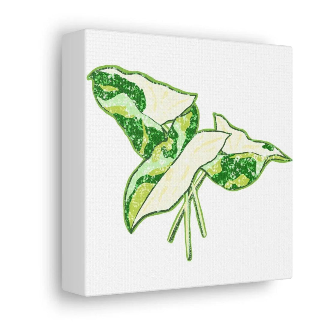 Marble Syngonium Canvas - Botanical Canvas Art Print | Durable Cotton Matte Finish - Laura Christine Photography & Design