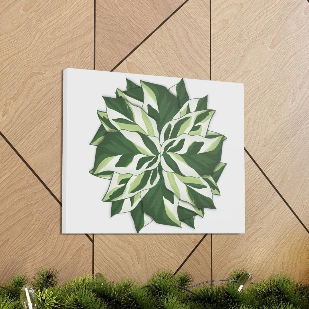 Calathea White Fusion Canvas | Indoor Wall Art - Matte Finish Botanical Canvas Art Print - Laura Christine Photography & Design
