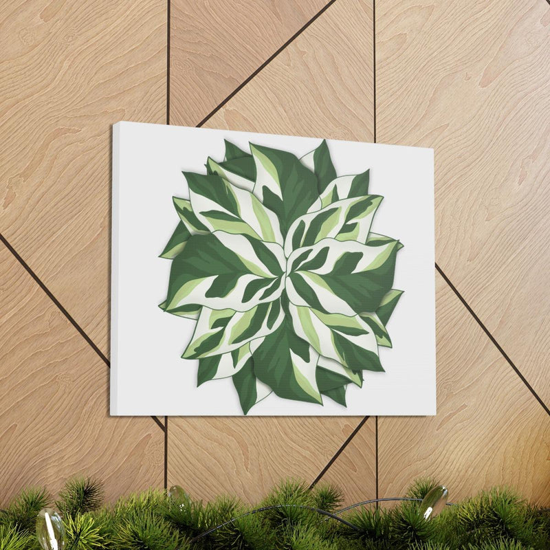 Calathea White Fusion Canvas, Canvas, Laura Christine Photography & Design, Art & Wall Decor, Canvas, Hanging Hardware, Home & Living, Indoor, Laura Christine Photography & Design, 