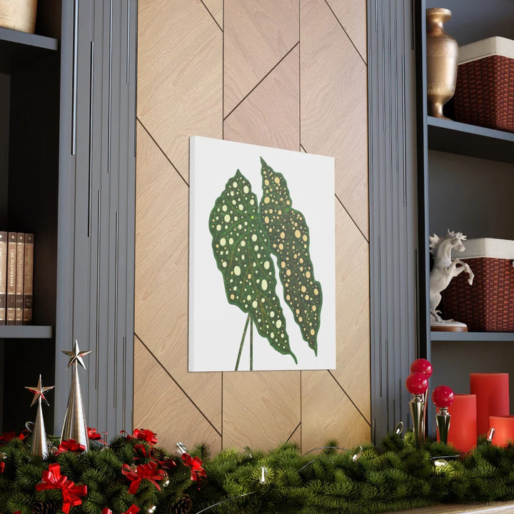 Begonia Maculata Canvas | Premium Canvas Art Print - Matte Finish, Durable Wall Decor - Laura Christine Photography & Design