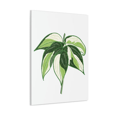 Philodendron 'Cream Splash' Canvas, Canvas, Printify, Art & Wall Decor, Canvas, Hanging Hardware, Home & Living, Indoor, Laura Christine Photography & Design, laurachristinedesign.com