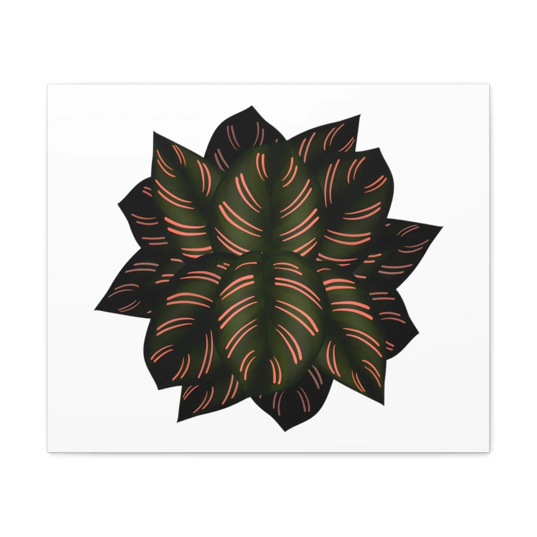 Calathea Pinstripe Canvas – Botanical Canvas Art Print | Matte Finish Wall Decor