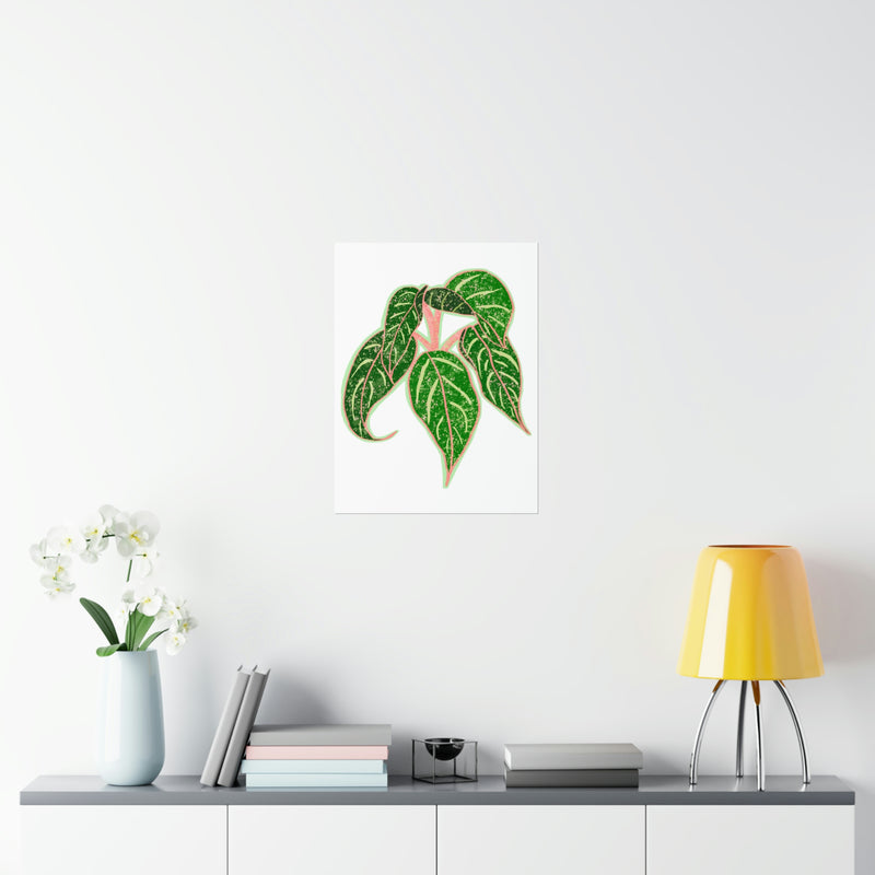 Impresión de la planta de Aglaonema