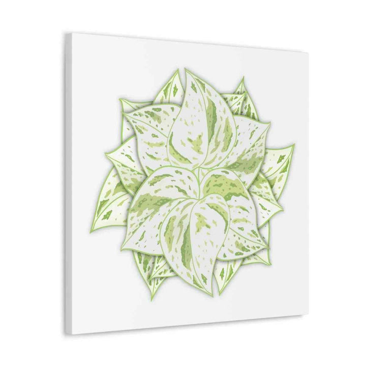 Snow Queen Pothos Canvas – Variegated Leaf Canvas Art Print | Durable Cotton
