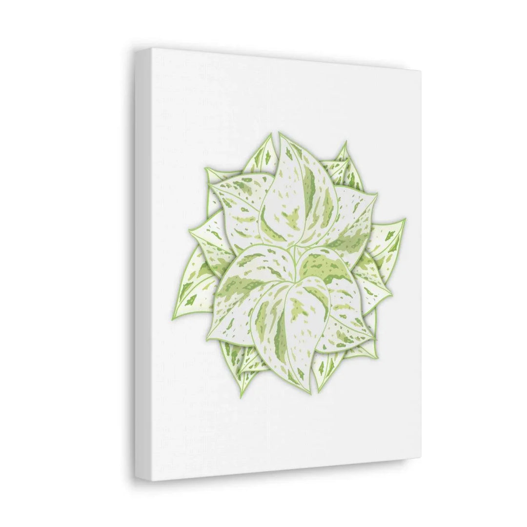 Snow Queen Pothos Canvas – Variegated Leaf Canvas Art Print | Durable Cotton - Laura Christine Photography & Design