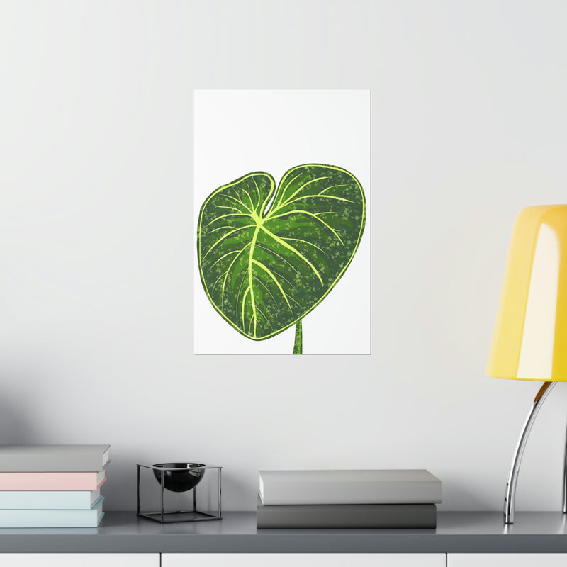 Philodendron Gloriosum Print